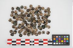 Foto von Bronzegewandbesatzknöpfchen (NHMW-PRAE-026298)